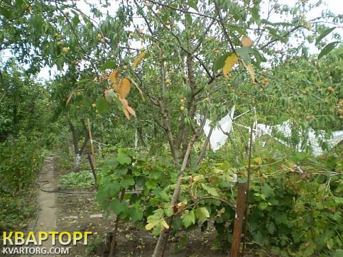 Sell house. Одесса, 1-я улица — photo 2