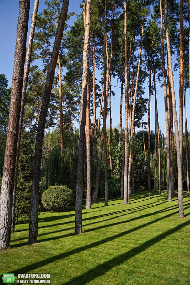 Sell house. Буча, Гоголя — photo 2