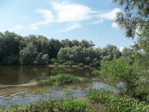 Sell house. Чернигов, с.Крехаев — photo 6