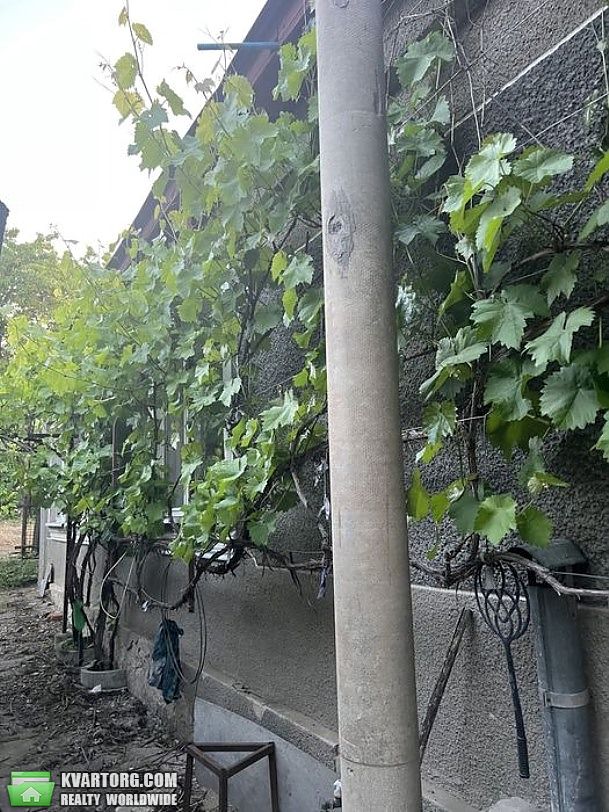 Sell house. Одесса, Балта — photo 9