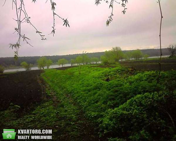 Sell house. Киевская обл., Матвииха — photo 4