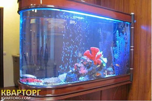 Rent out office. Киев, Лаврская — photo 6