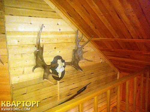 Sell house. Киевская обл., с. Гнедін — photo 4