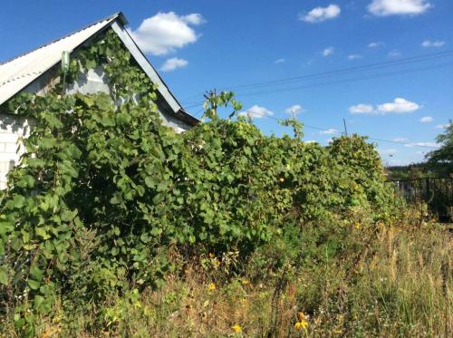 Sell house. Киевская обл., 111 — photo 4