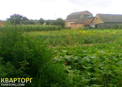 Sell house. Киевская обл., мироцкое — photo 2