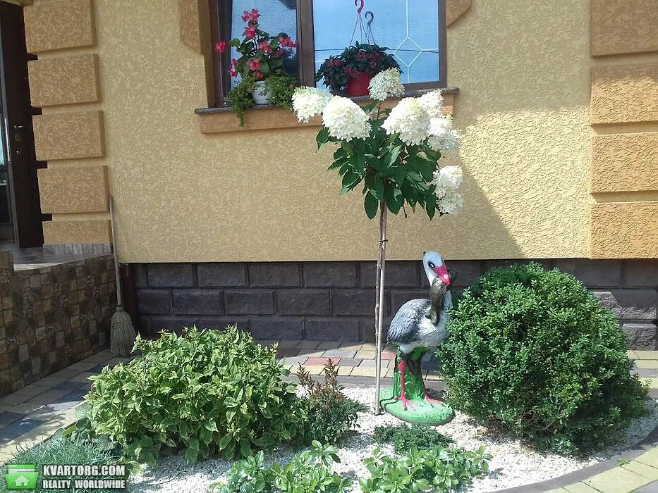 Sell house. Ивано-Франковск, Центральная — photo 3
