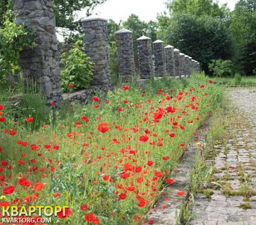 Rent out house. Киевская обл., Бобрица — photo 10