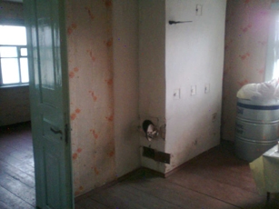 Sell house. Киевская обл., Хвойная — photo 3