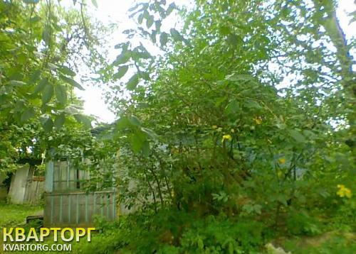 Sell house. Киевская обл., мироцкое — photo 3