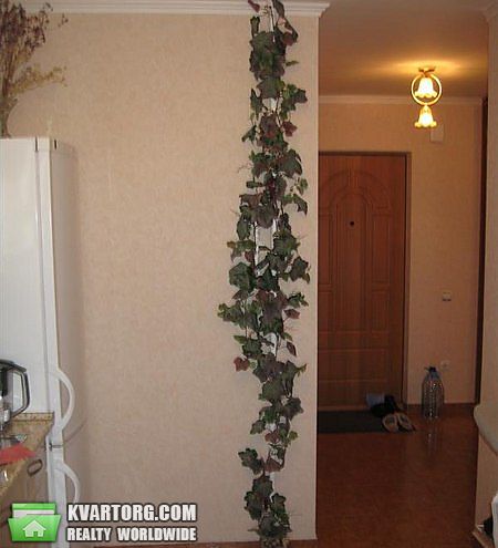 Rent out 1-room apartment. Киев, Бакинская — photo 5