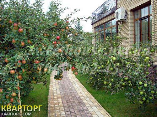 Sell house. Киев, Вишенки — photo 4