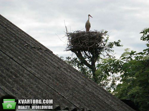 Sell house. Львов, Гологори — photo 10