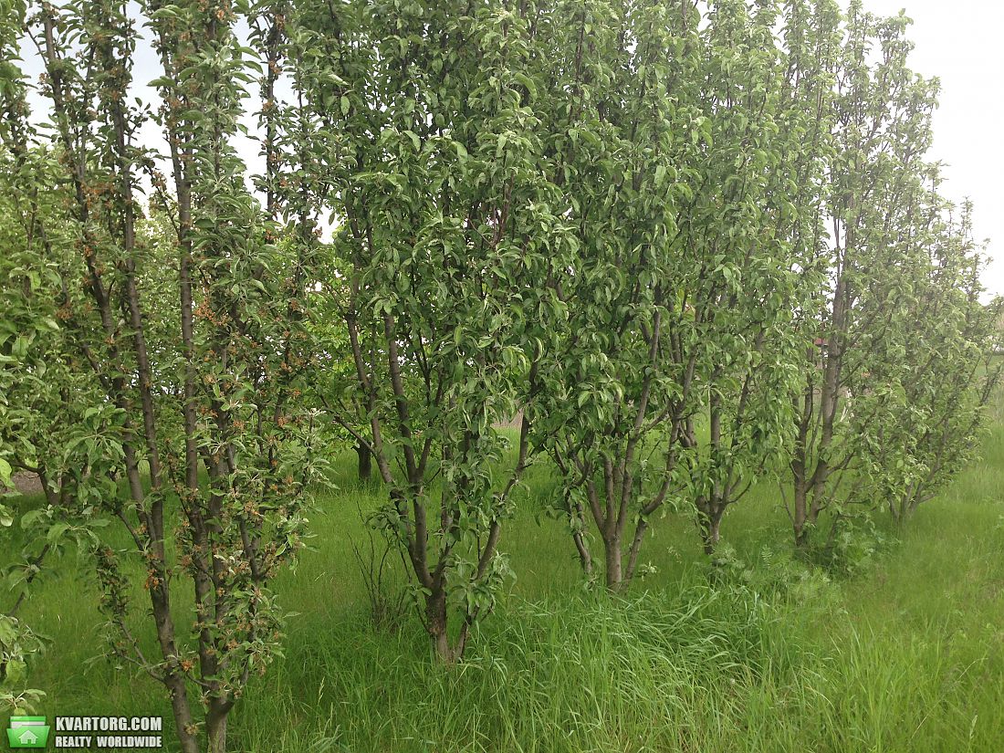 Sell house. Полтава, Народна — photo 2