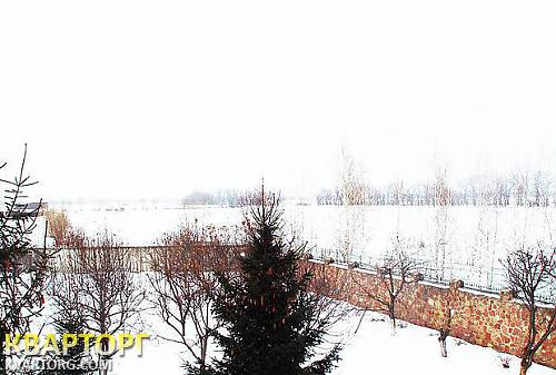 Rent out house. Киевская обл., Погребы — photo 4
