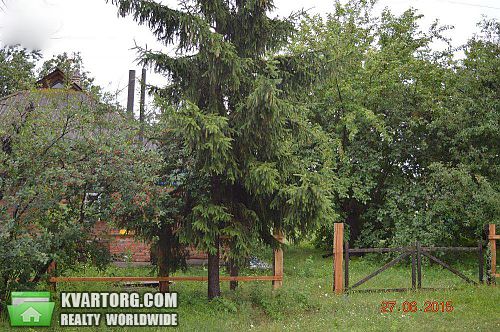 Sell house. Киевская обл., Хоцки — photo 1