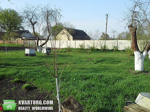 Sell house. Киевская обл., Кухари — photo 8