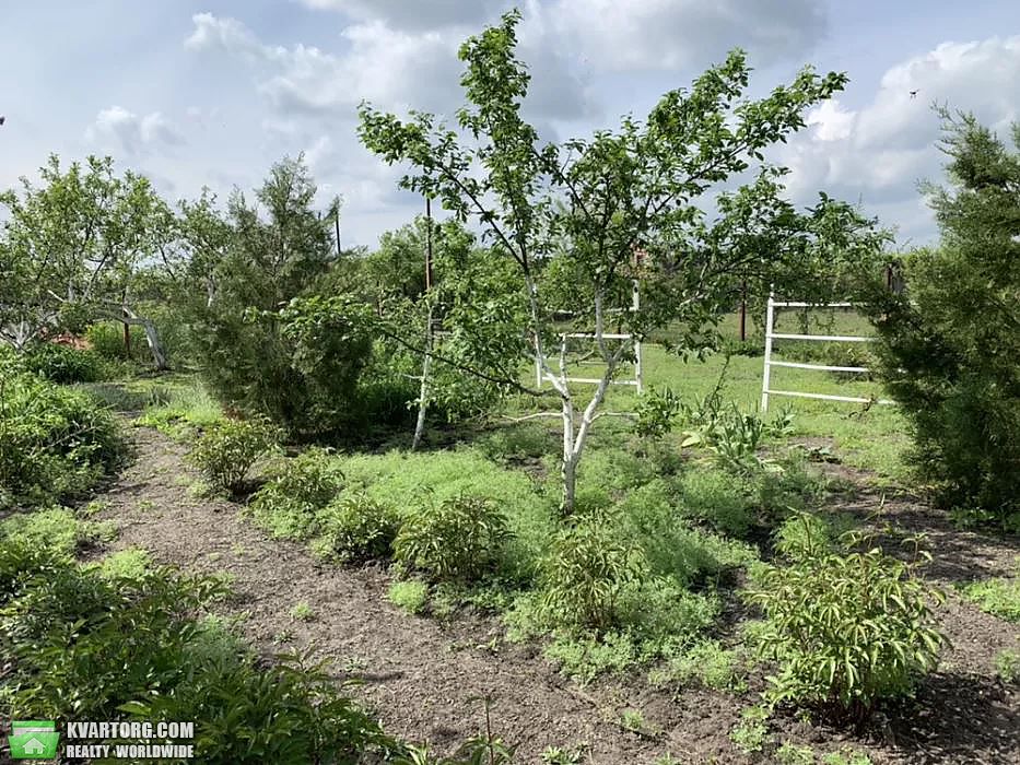 Sell house. Харьков, Чугуев — photo 9