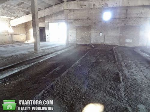 Sell warehouse. Борисполь, -- — photo 4