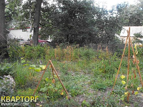 Sell house. Киевская обл.,  Курская — photo 2