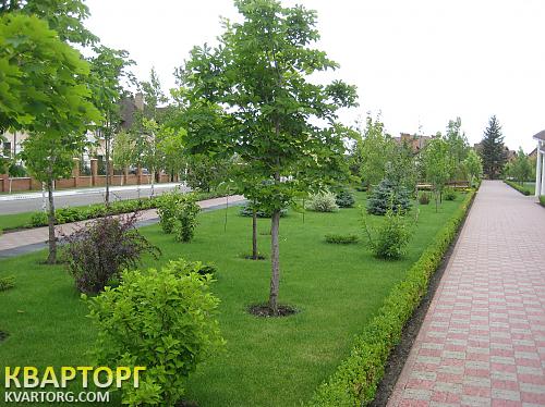 Sell house. Киевская обл.,  Золочевская — photo 2
