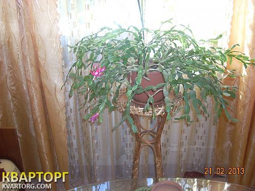 Sell house. Киевская обл., с.Право Жовтня — photo 4