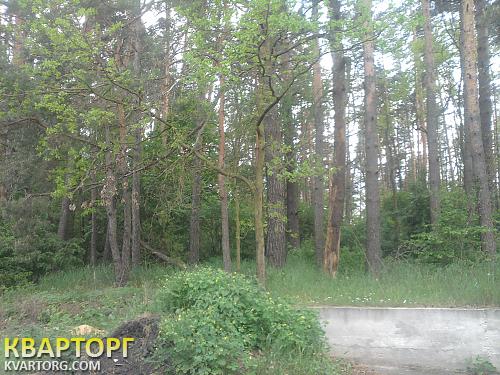 Sell house. Киевская обл., Малютянка — photo 5