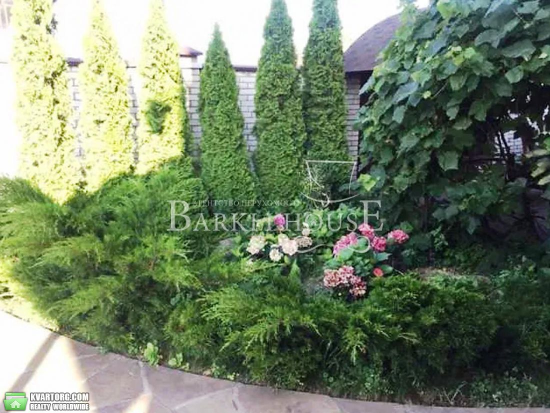 Rent out house. Киевская обл., Княжичи — photo 9