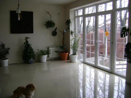 Sell house. Киевская обл., Леси Украинки — photo 4