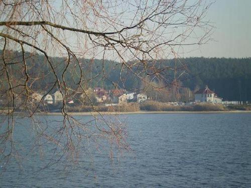 Sell house. Киевская обл., Даниловка — photo 9