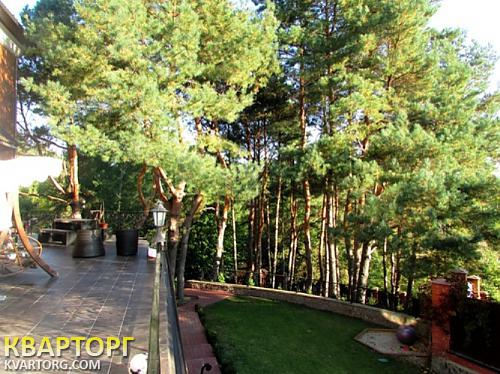 Rent out house. Киевская обл., Лесники — photo 2
