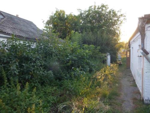 Sell house. Киевская обл., Хмельницкого Богдана — photo 5