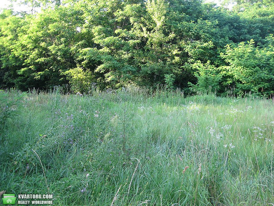 Sell house. Киевская обл.,  Садовая — photo 2