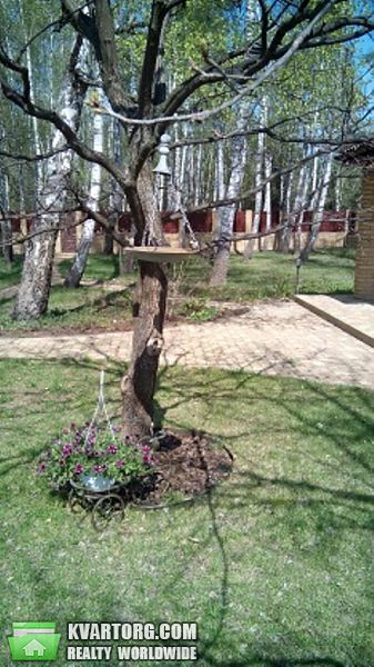 Rent out house. Киевская обл., Севериновка — photo 8