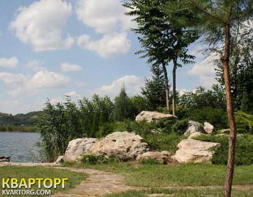 Rent out house. Киевская обл., Новые Безрадичи — photo 8