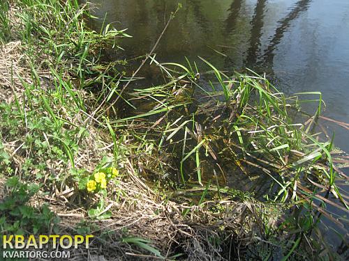 Sell house. Киевская обл., Летки — photo 2
