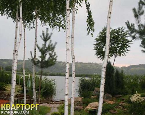 Rent out house. Киевская обл., Безрадичи — photo 4