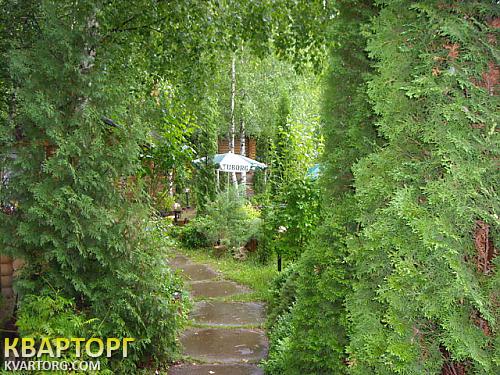 Rent out house. Киевская обл., Большая Солтановка — photo 2