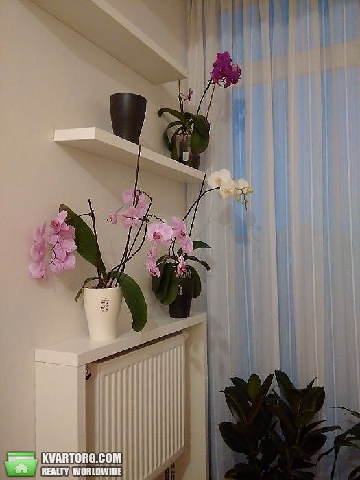 продам 1-комнатную квартиру. Киев,  Регенераторная - фото 5