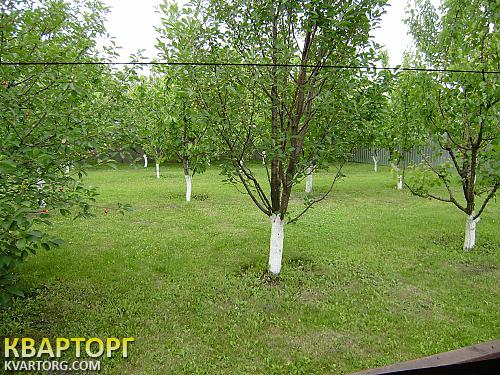 Rent out house. Киевская обл., Мархалевка — photo 8