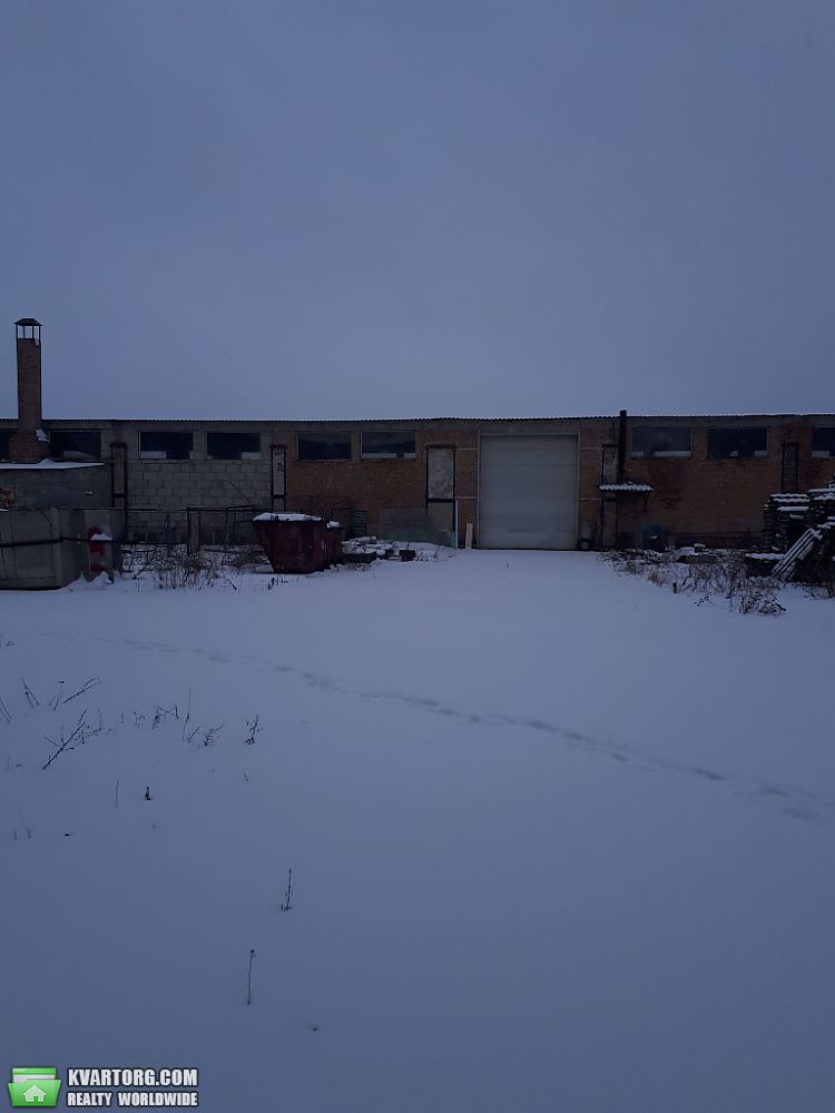     ., . -  5