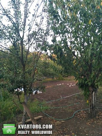 Sell house. Одесса, Дофиновка — photo 8