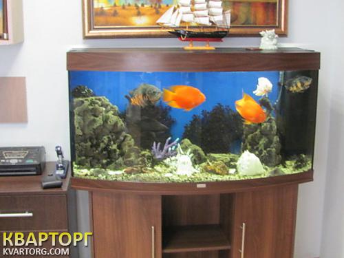Rent out office. Киев, Кловский спуск — photo 4