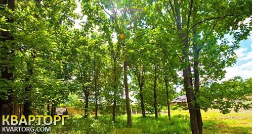 Sell house. Киевская обл., Васильков — photo 2