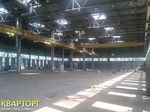 Rent out warehouse. Киевская обл., г. Борисполь — photo 2