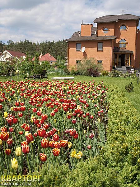 Sell house. Киевская обл., Леси Украинки — photo 2