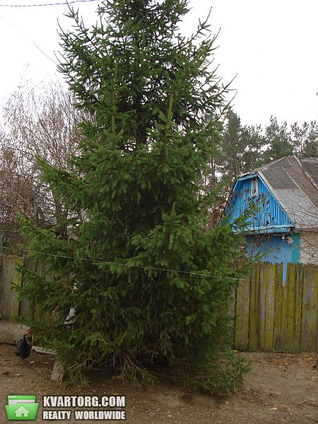 Sell house. Киевская обл., с.Мироцкое — photo 2