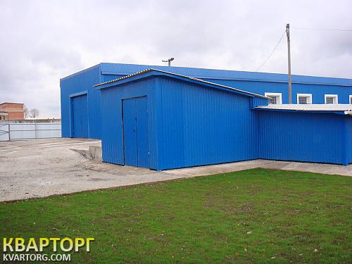 Rent out warehouse. Борисполь, Совхозная — photo 5