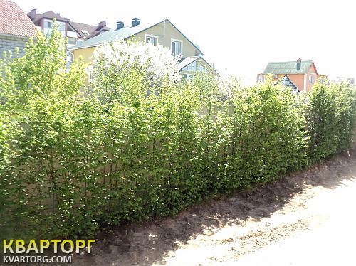 Sell house. Киевская обл., Шевченка — photo 5