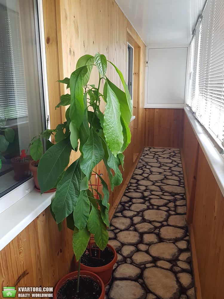 Rent out 2-room apartment. Киев, Зодчих — photo 4