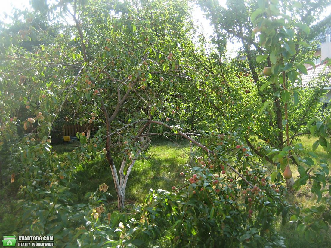 Sell house. Киевская обл., Звездная — photo 2